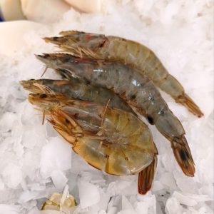 Camarón Ecuatoriano entero 40-50